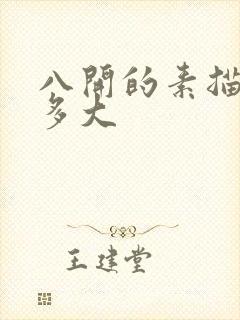 八开的素描纸有多大