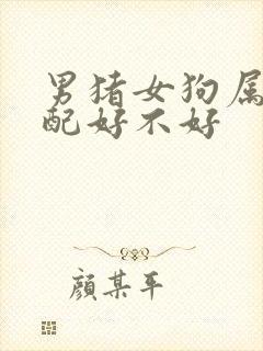 男猪女狗属相婚配好不好