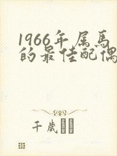 1966年属马的最佳配偶属相