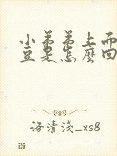 小弟弟上面长豆豆是怎么回事