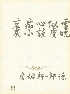 哀痴心似雪落成灰小说虞晚吟霍i封面