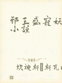 邪王盛宠妖孽妃小说