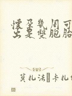 怀孕几周可以看出是双胞胎封面