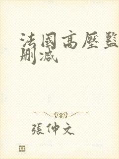 法国高压监狱无删减封面