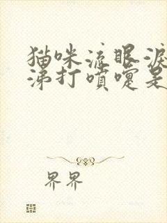 猫咪流眼泪流鼻涕打喷嚏是怎么回事