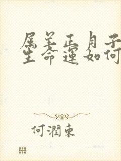 属羊正月子时出生命运如何