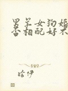 男羊女狗婚姻是否相配好不好