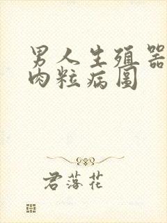 男人生殖器长小肉粒病图封面