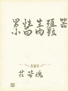 男性生殖器上长小白肉粒