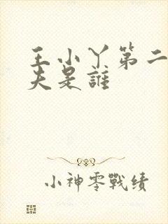 王小丫第二任丈夫是谁