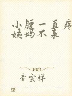 小腹一直疼但是姨妈不来