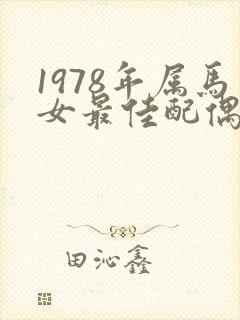 1978年属马女最佳配偶属相