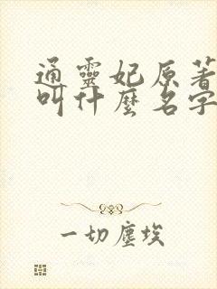 通灵妃原著小说叫什么名字