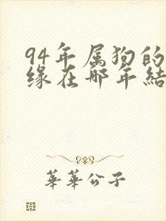 94年属狗的姻缘在哪年结婚