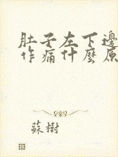 肚子左下边隐隐作痛什么原因女性还呕吐恶心