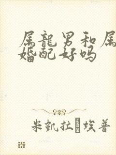 属龙男和属龙女婚配好吗