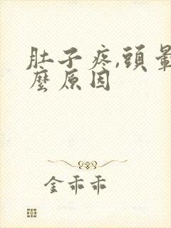 肚子疼,头晕什么原因