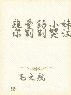 亲爱的小妹妹请你别别哭泣歌词