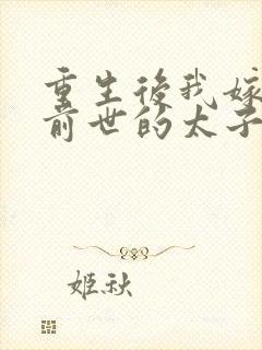 重生后我嫁给了前世的太子姐夫封面