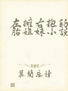 左拥右抱的双胞胎姐妹小说封面