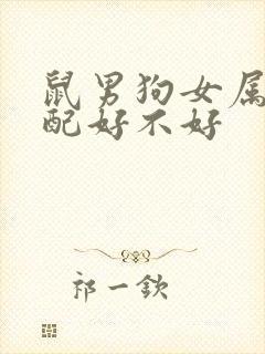 鼠男狗女属相婚配好不好