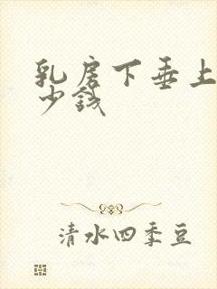 乳房下垂上提多少钱