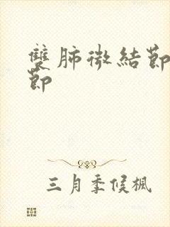 双肺微结节小结节封面