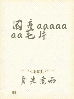 国产aaaaaaa毛片封面