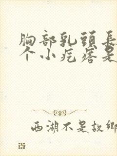 胸部乳头长了一个小疙瘩是什么情况