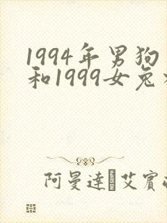 1994年男狗和1999女兔相配吗