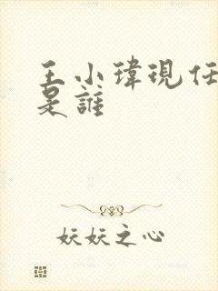 王小玮现任丈夫是谁