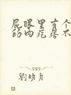 屁眼里有个软软的肉疙瘩不痛不痒
