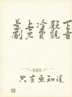 惹上冷殿下电视剧免费观看