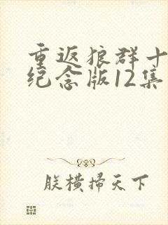 重返狼群十周年纪念版12集