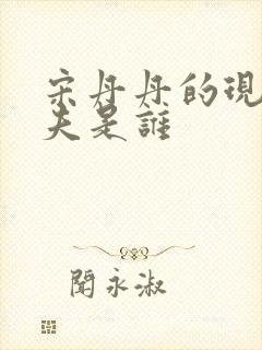 宋丹丹的现任丈夫是谁