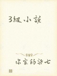 3级小说