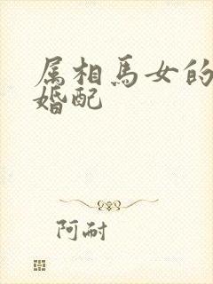 属相马女的最佳婚配