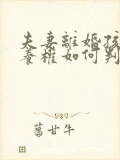 夫妻离婚孩子抚养权如何判决