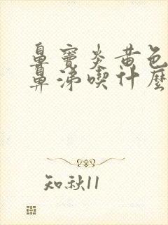 鼻窦炎黄色粘稠鼻涕吃什么药