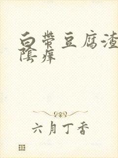 白带豆腐渣还外阴痒