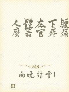 人体左下腹是什么器官疼痛