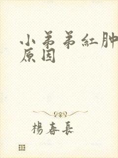 小弟弟红肿瘙痒原因