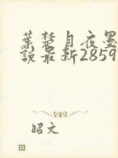 叶楚月夜墨寒小说最新2859