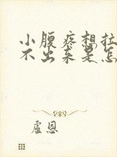 小腹疼想拉屎拉不出来是怎么回事