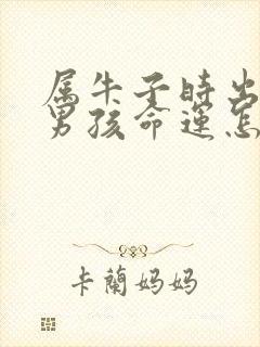 属牛子时出生的男孩命运怎么样