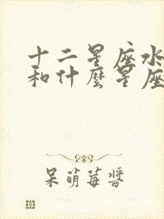 十二星座水瓶座和什么星座最配