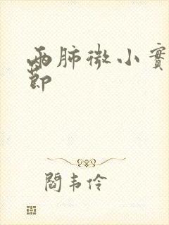 两肺微小实性结节