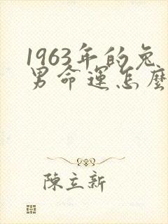 1963年的兔男命运怎么样封面
