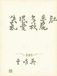 失眠多梦肚子胀气爱放屁封面