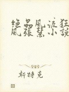 绝品风流狂医林风张慧小说的免费阅读